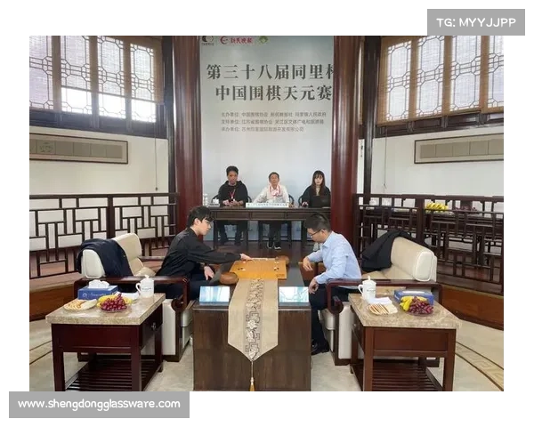 天元围棋2019 天元围棋2019