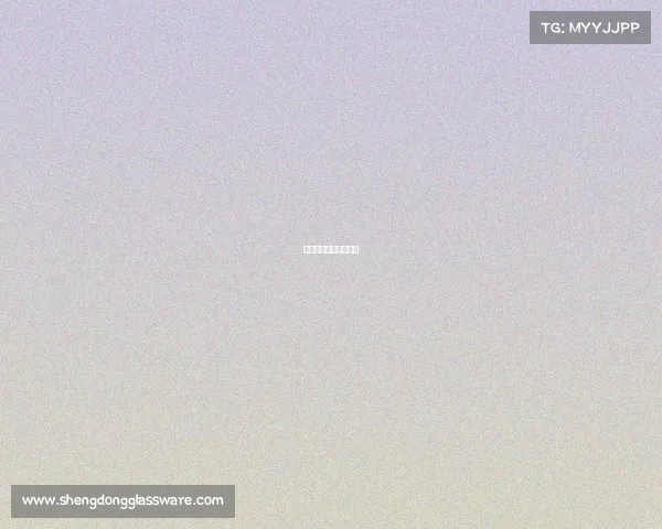 体育赛事报备书怎么写