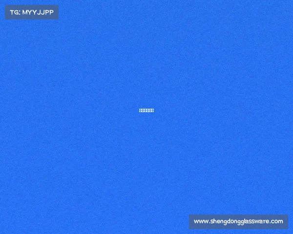 帆船比赛排名 帆船比赛排名