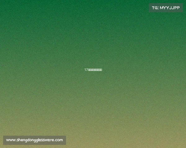 17年拳击比赛视频直播